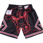 Chicago Bulls Big Face Shorts Black 4
