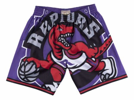 Toronto Raptors Big Face Shorts purple 4