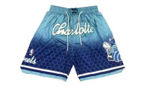 Charlotte-Hornets-202122-City-Edition-Swingman-Performance-Shorts-1.jpeg