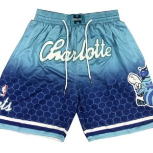 Charlotte-Hornets-202122-City-Edition-Swingman-Performance-Shorts-1.jpeg