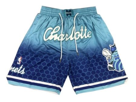 Charlotte-Hornets-202122-City-Edition-Swingman-Performance-Shorts-1.jpeg