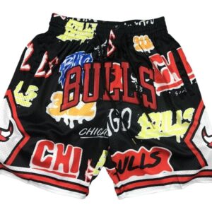 Chicago Bulls Slap Sticker Swingman Shorts