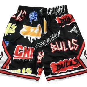 Chicago Bulls Slap Sticker Swingman Shorts back
