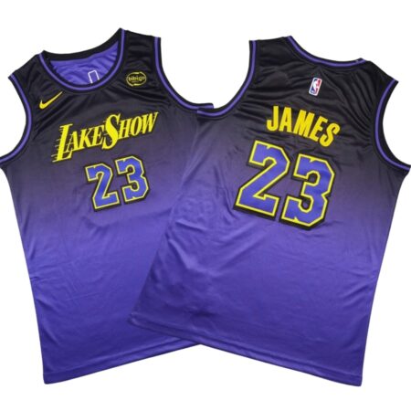 LeBron-James-Los-Angeles-Lakers-2024-25-Jersey-City-Edition-Purple.jpg